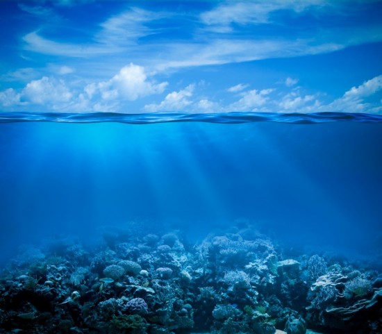 Фотообои Подводный мир