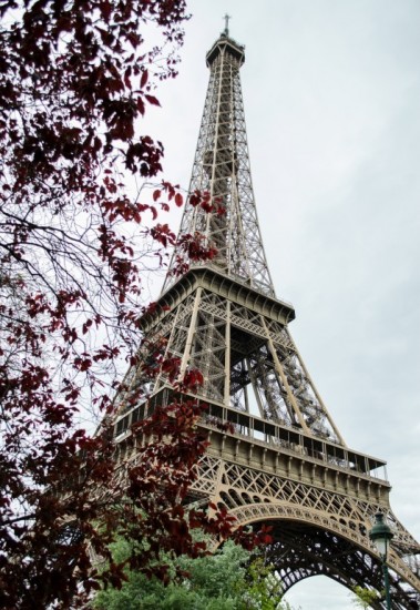 Фотообои Париж