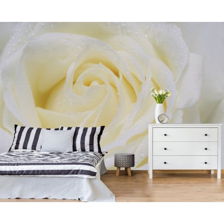 Фотообои Белая розы для спальни
