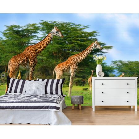 Фотообои Стая жирафов для спальни