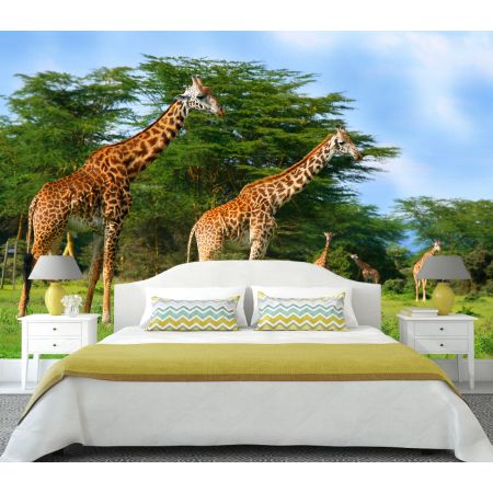 Фотообои Стая жирафов в интерьере