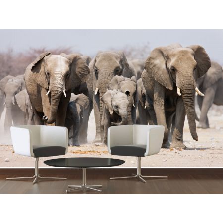 Фотообои Могучие слоны на кухне
