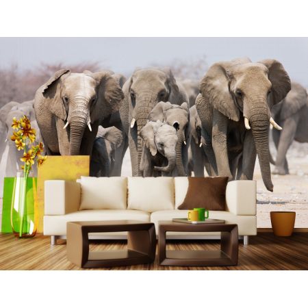 Фотообои Могучие слоны в гостинной