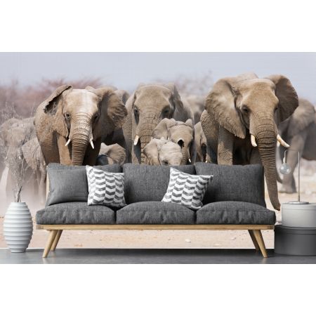 Фотообои Могучие слоны в зале
