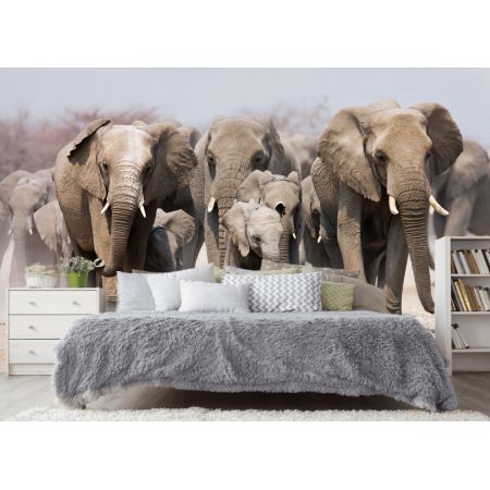 Фотообои Могучие слоны в спальне