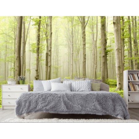 Фотообои Туманный лес в спальне