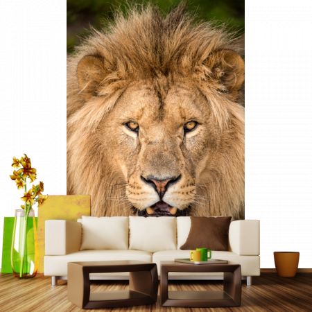 Фотообои Улыбающийся лев в гостинной