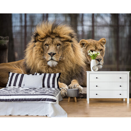 Фотообои Львы для спальни