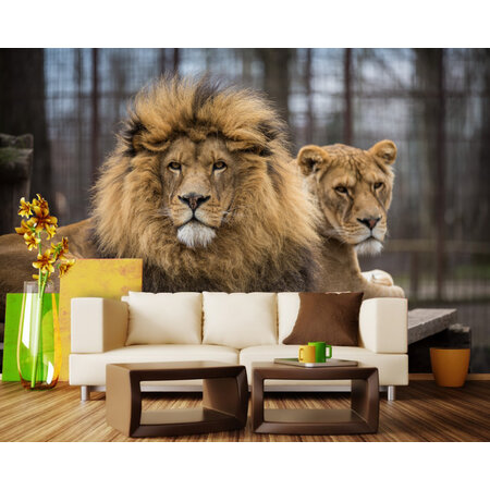 Фотообои Львы в гостинной