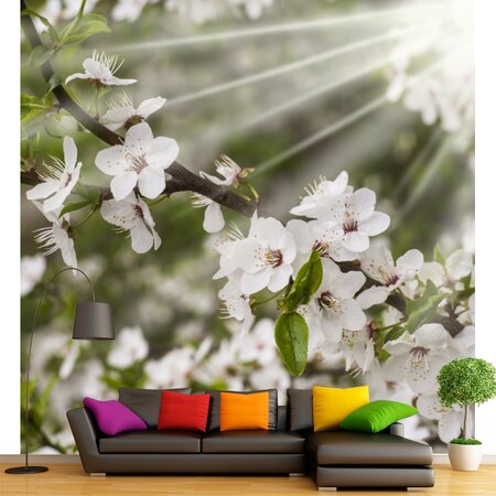 Фотообои Весенний сад в комнату