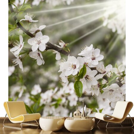 Фотообои Весенний сад на стену