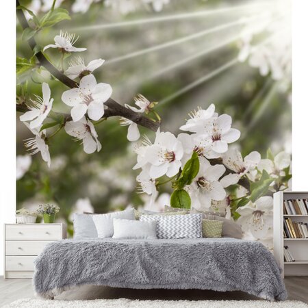 Фотообои Весенний сад в спальне