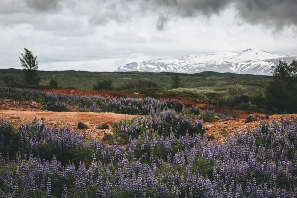 Фотообои Пасмурная погода