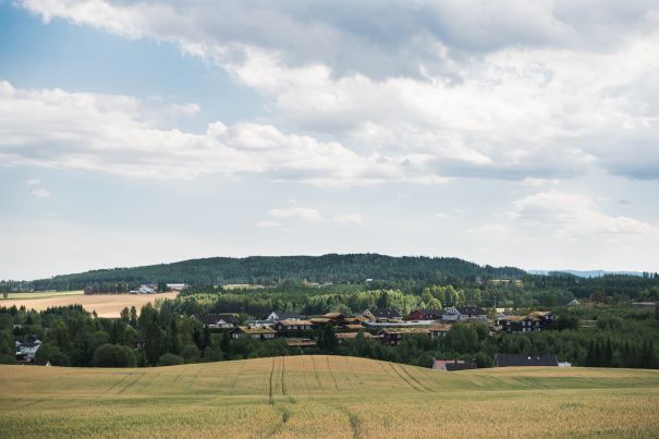 Фотообои Облачное луговое небо