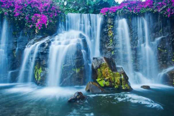 Фотообои Цветущие водопады