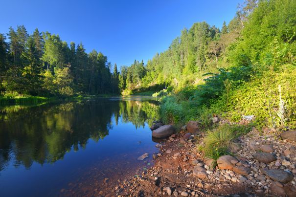 Фотообои Летняя маленькая река