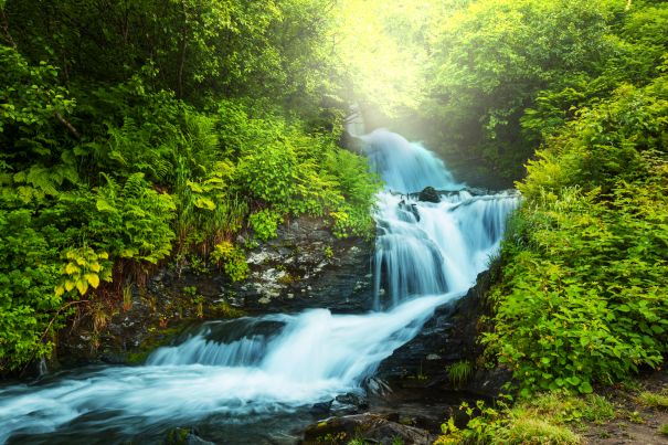 Фотообои Спад воды