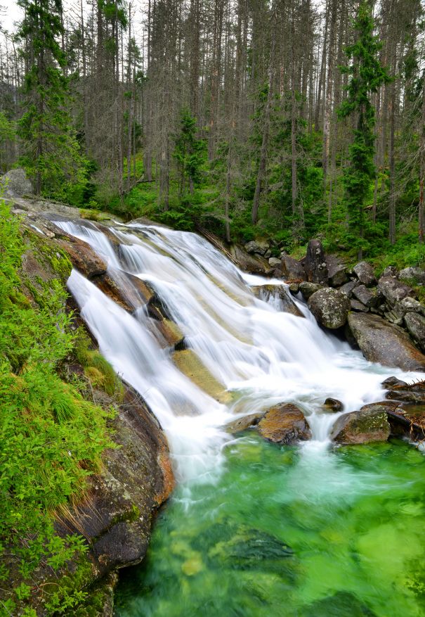 Фотообои Маленький водопад