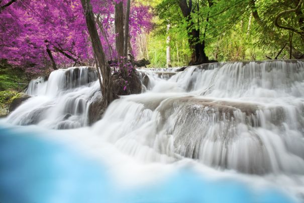 Фотообои Водопад у сакуры