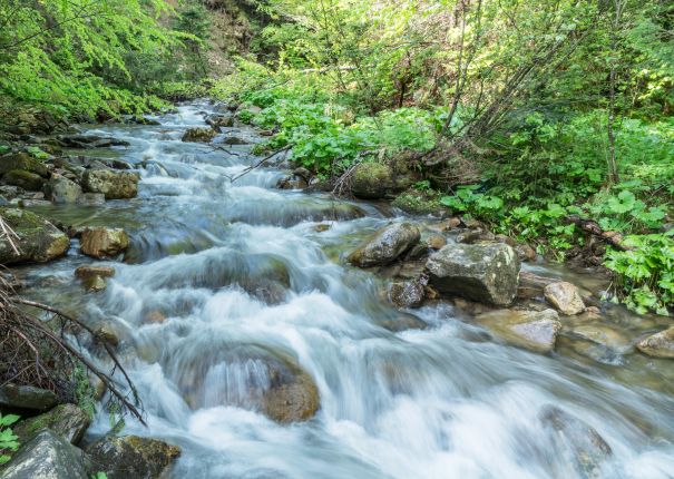 Фотообои Спад воды