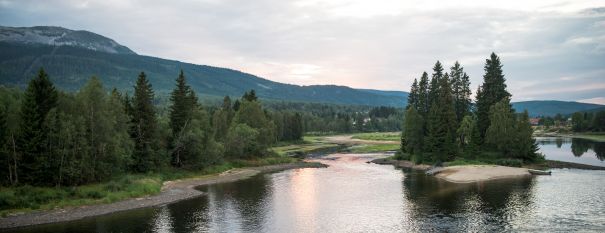 Фотообои Развилка реки