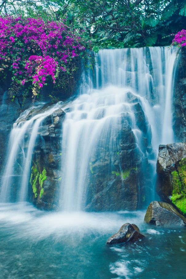 Фотообои Водопад возле цветов