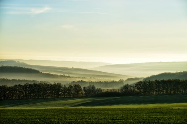 Фотообои Пасмурные луга