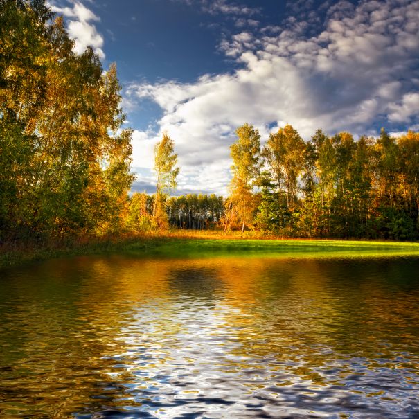 Фотообои Водоём осенью