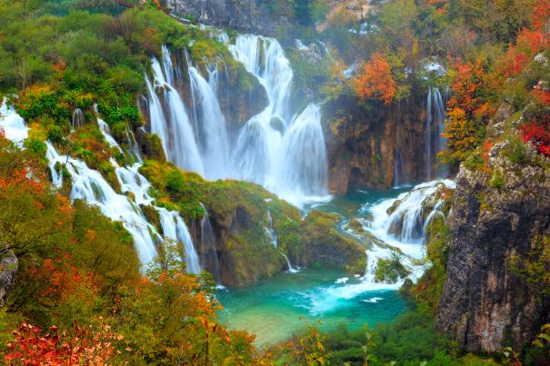 Фотообои Водопады цветущего леса