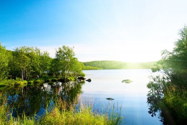 Фотообои Летний водоём