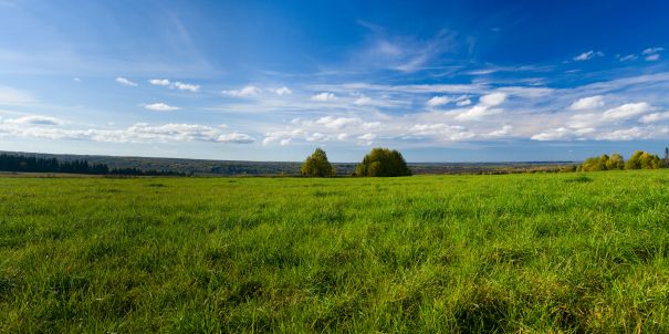 Фотообои Панорама полей