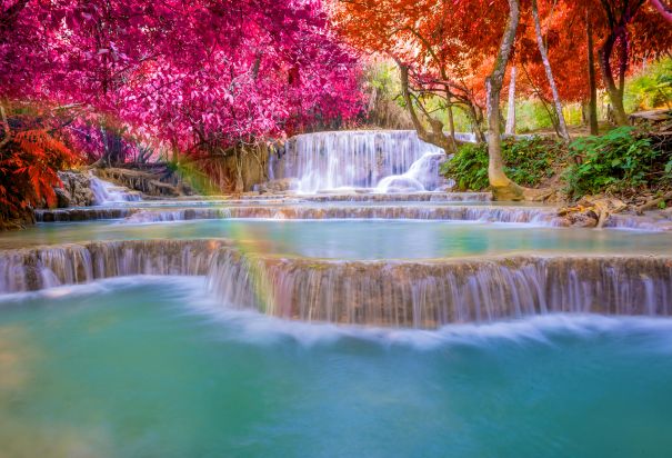 Фотообои Водопад цветущего леса