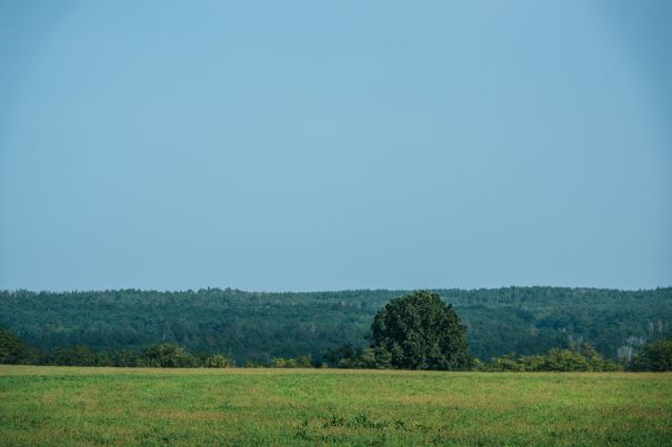 Фотообои Пейзаж полей