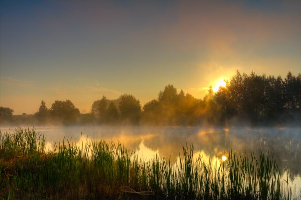 Фотообои Восход лесной реки