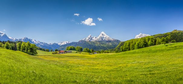 Фотообои Панорама полей