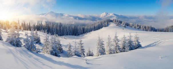 Фотообои Панорама зимних полей