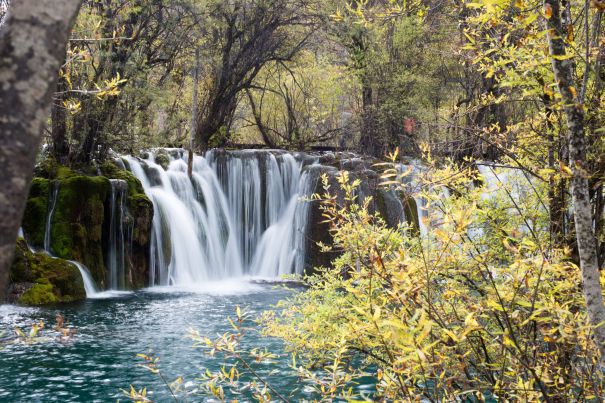 Фотообои Лесные маленькие водопады